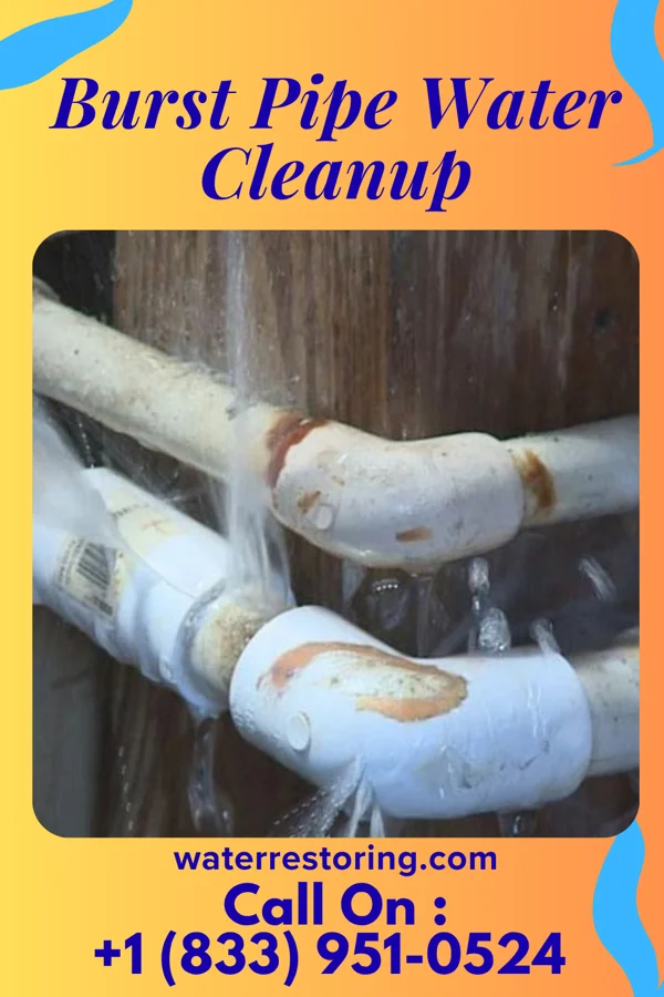 Burst Pipe Water Cleanup in Utica, SC