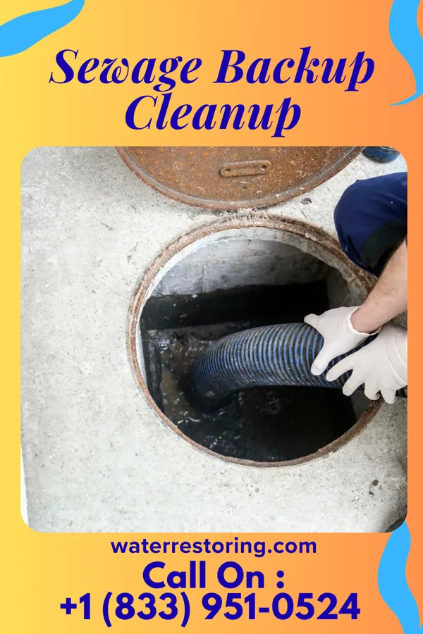 Sewage Backup Cleanup in Utica, SC